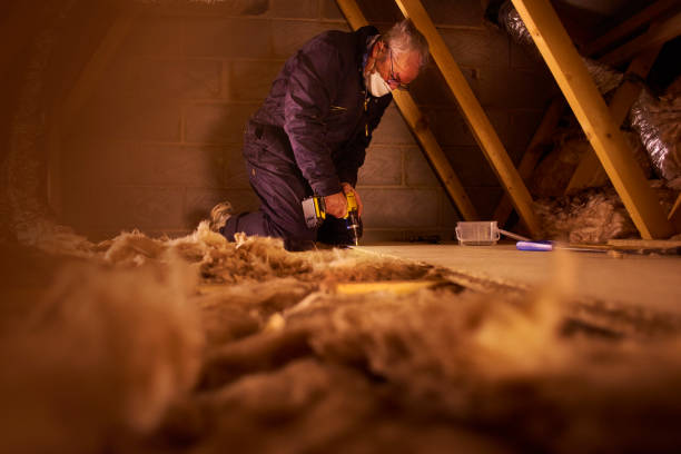 Types of Insulation We Offer in Holly Hill, SC